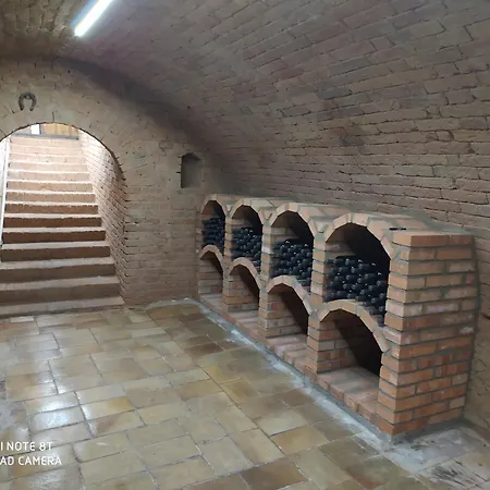Pod Majakem Villa *